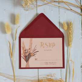 Pampas Grass Thumbnail Image 2