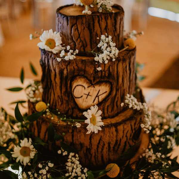 A wedding photo of our cake